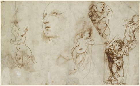 Recto: A female head for Borghese-Beckford St Catherine and various putti, WA1846.177 (pen & brown ink over blind stylus and possibly leadpoint or metallic traces)