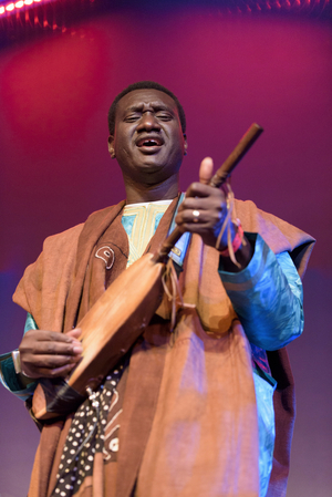 Bassekou Kouyate performing at the Cheltenham Jazz Festival, 2015 (photo)