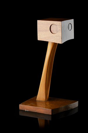 Head, 1954 (elm)