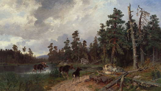 Moose and hunters in pine tree forest , 1881