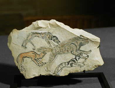 Ostracon, three dogs in pursuit of a hyena …