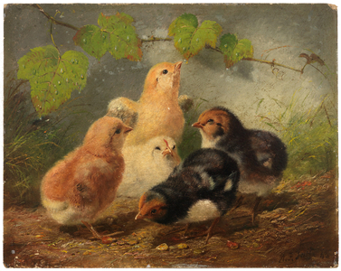 Chicks, 19th century (framed oil on board)