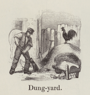 Dungyard (engraving)