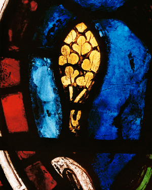 A tree emerges from the Flood (stained glass)