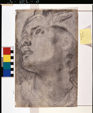 Portraits of a boy (Ippolito de'Medici) (drawing)