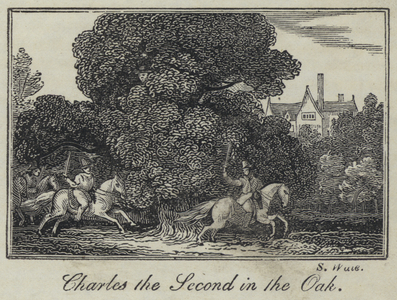 Charles the Second in the Oak (engraving)
