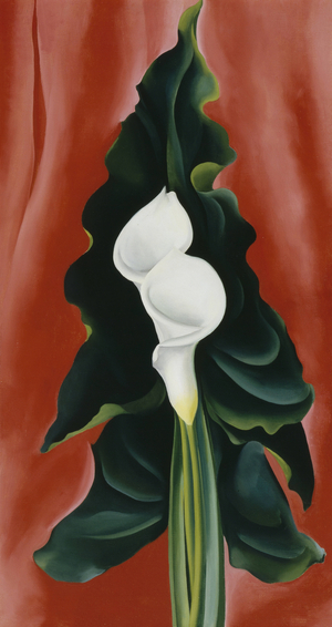 Calla Lilies on Red, 1928 (oil on canvas)