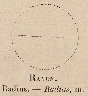Le Vocabulaire Illustre: Rayon; Radius (engraving)