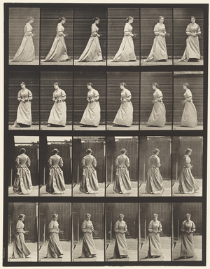 Plate 100.  Turning and Ascending Stairs, 1885 (collotype on paper)