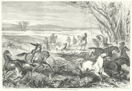 Grande chasse au cheval sauvage (engraving)