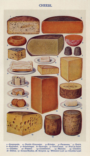 Mrs Beeton's Book of Household Management Book Plate, UK, 1900s
