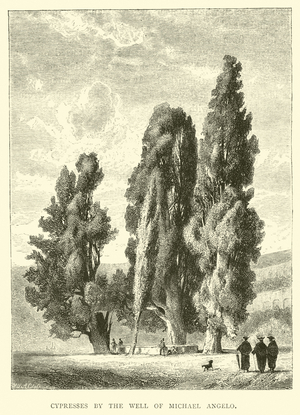 Cypresses by the Well of Michael Angelo (engraving)