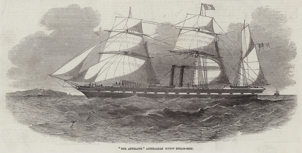 "The Antelope" Australian Screw Steam-Ship (engraving)