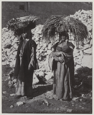 Palestinian types, Peasant women taking vegetables to market (b/w photo)