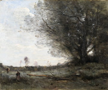 The Beech Tree, 1860 (oil on canvas)