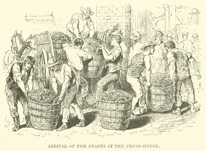 Arrival of the Grapes at the Press-House (engraving)