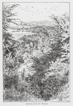 Selborne from the Hanger (litho)