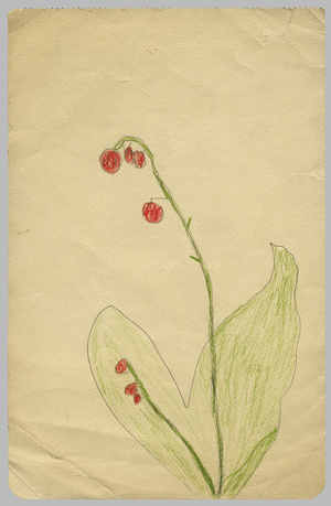 Page from a sketchbook