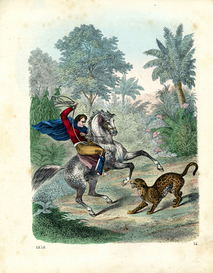 Hunting Scene with Rider and Jaguar (hand-coloured litho)
