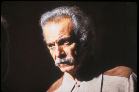 Georges Brassens, 1979 (photo)