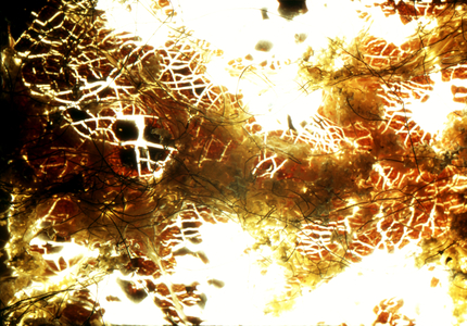 NA_74 [Scribble like Giacometti], 2004 (35mm slide)