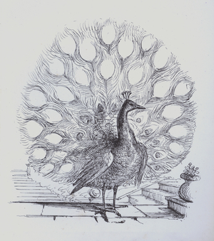 Page from book to hold a personal collection of crests and monograms (engraving)