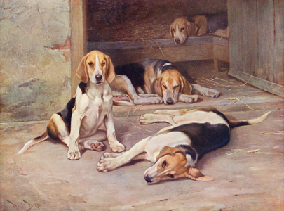 Puppy Days (colour litho)