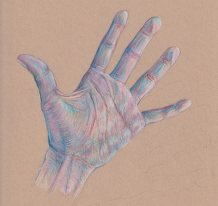 Hand Study #3, 2025 (coloured pencil on toned paper)