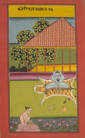 Yogi