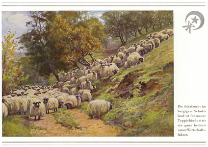 Business of carpet manufacturers Halbmond-Teppichfabrik Von Koch Und Te Kock (colour litho)