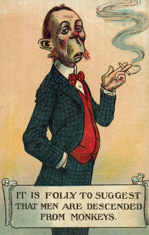 Theory of Evolution: man resembling an ape mocking the idea that humans are descended from apes (chromolitho)