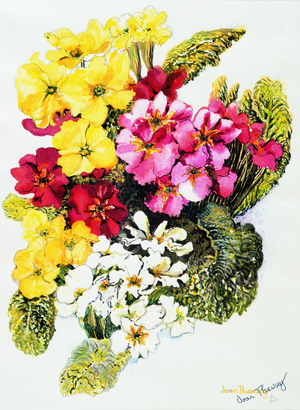 Primroses,White,Yellow,Pink and Red, 2000 (watercolour)