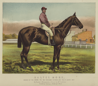 Galtee More, winner of the derby, the two thousand guineas and the St Leger, 1897 (colour litho)