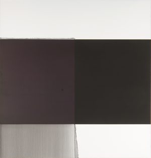 Exposed Painting Deep Violet, 2005 (oil on canvas)