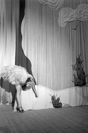 Performing artists during an evening show in Karlsbad, Germany 1930s (b/w photo)