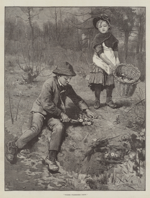 Where Primroses Grow (engraving)