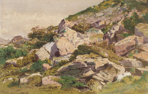 Study of Stones on the North Side of Taliaris, near Llandilo, South Wales (chromolitho)