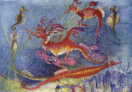 Sea Dragons (colour litho)