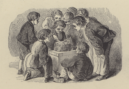 Boys and cake (engraving)
