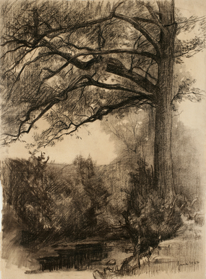 Landscape with large tree, 1884 (charcoal on buff laid paper)