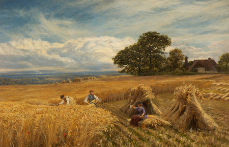 A Surrey Cornfield, 1864 (oil on canvas)