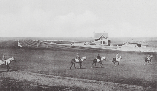 Racecourse, Newmarket (b/w photo)