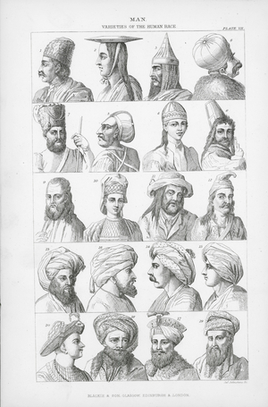 Man, varieties of human race (litho)