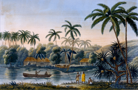 Part of the village of Matavae, coconut palms and other fruit, Tahiti, from 'Voyage autour du Monde sur la Corvette Coquille' by Lieutenant Louis Isodore Duperrey, published 1826 (colour litho)