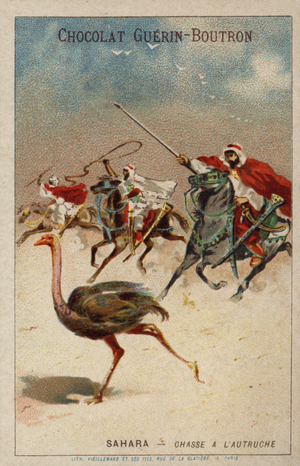 Hunting ostrich in the Sahara (chromolitho)