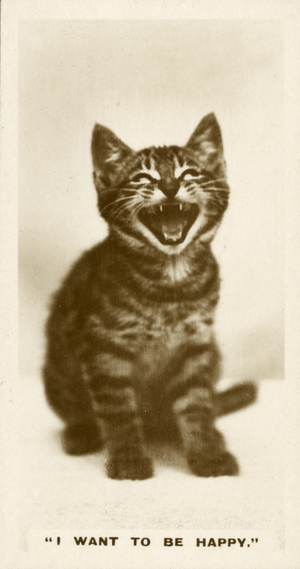 Comic Animals, I Want To Be Happy (b/w photo)