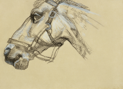 Head of Success II, 1983 (charcoal & crayon on paper)