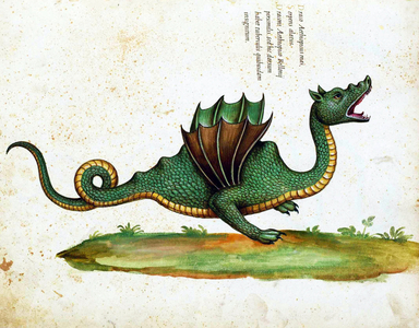 'Draco Aethiopicus Mas' (Ethiopian male dragon) (print)