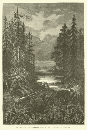 Une foret aux premiers siecles de la periode cretacee (engraving)