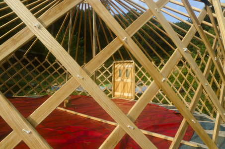 Wooden Lattice Frame and Door, South Wales, UK (photo)